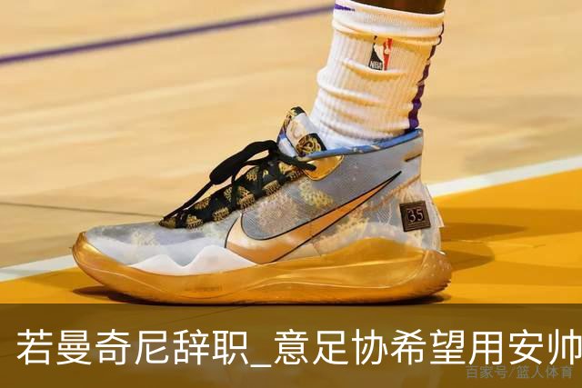 若曼奇尼辞职 意足协希望用安帅或卡纳瓦罗替代