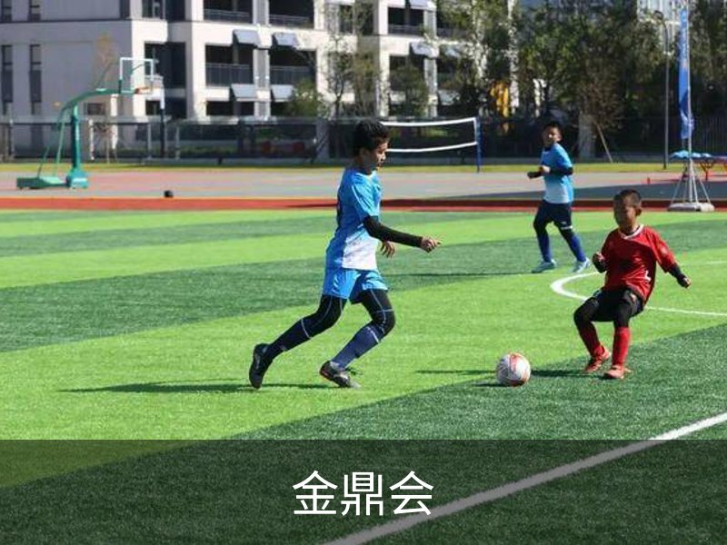 关于金鼎会